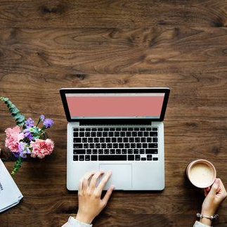 5 New Zealand Eco Bloggers You Need To Follow