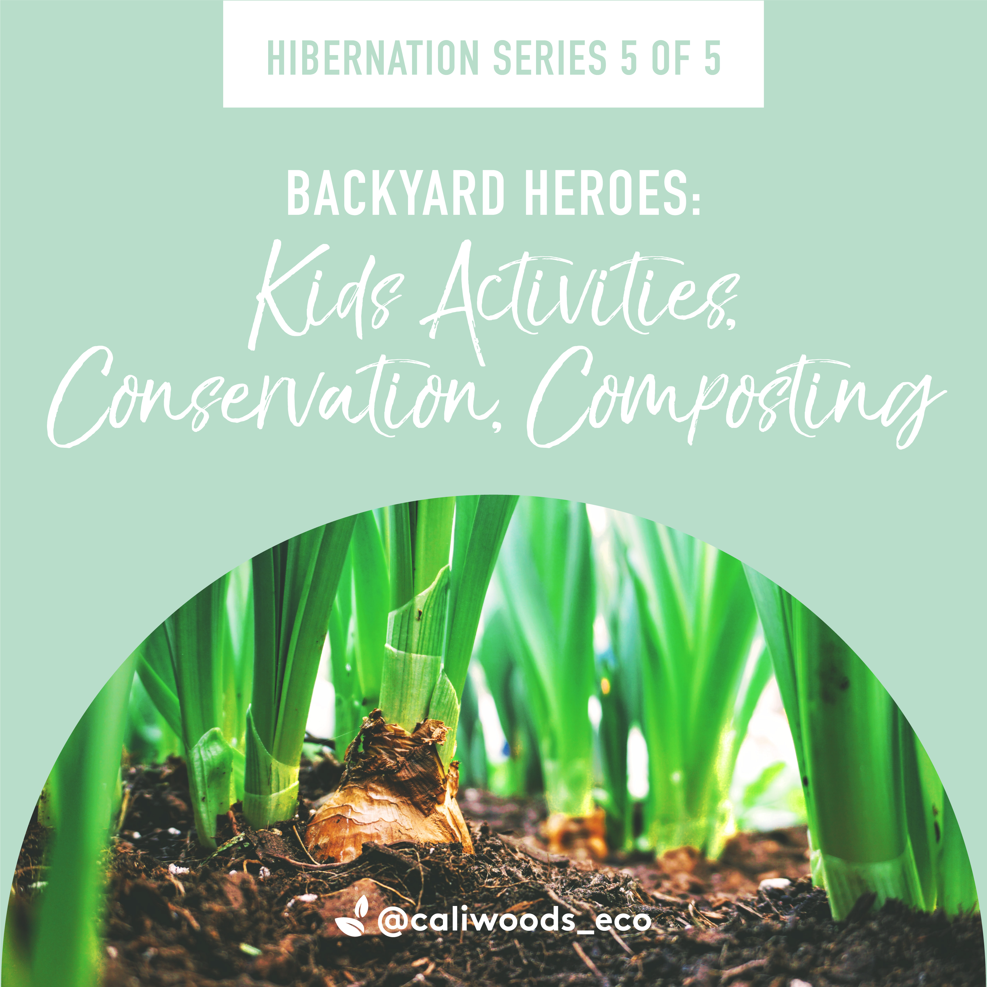 Hibernation Series 5 of 5: Backyard Heroes