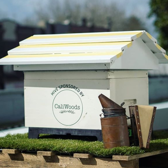 Bee Aware Month: What It Is And WHY It's Important