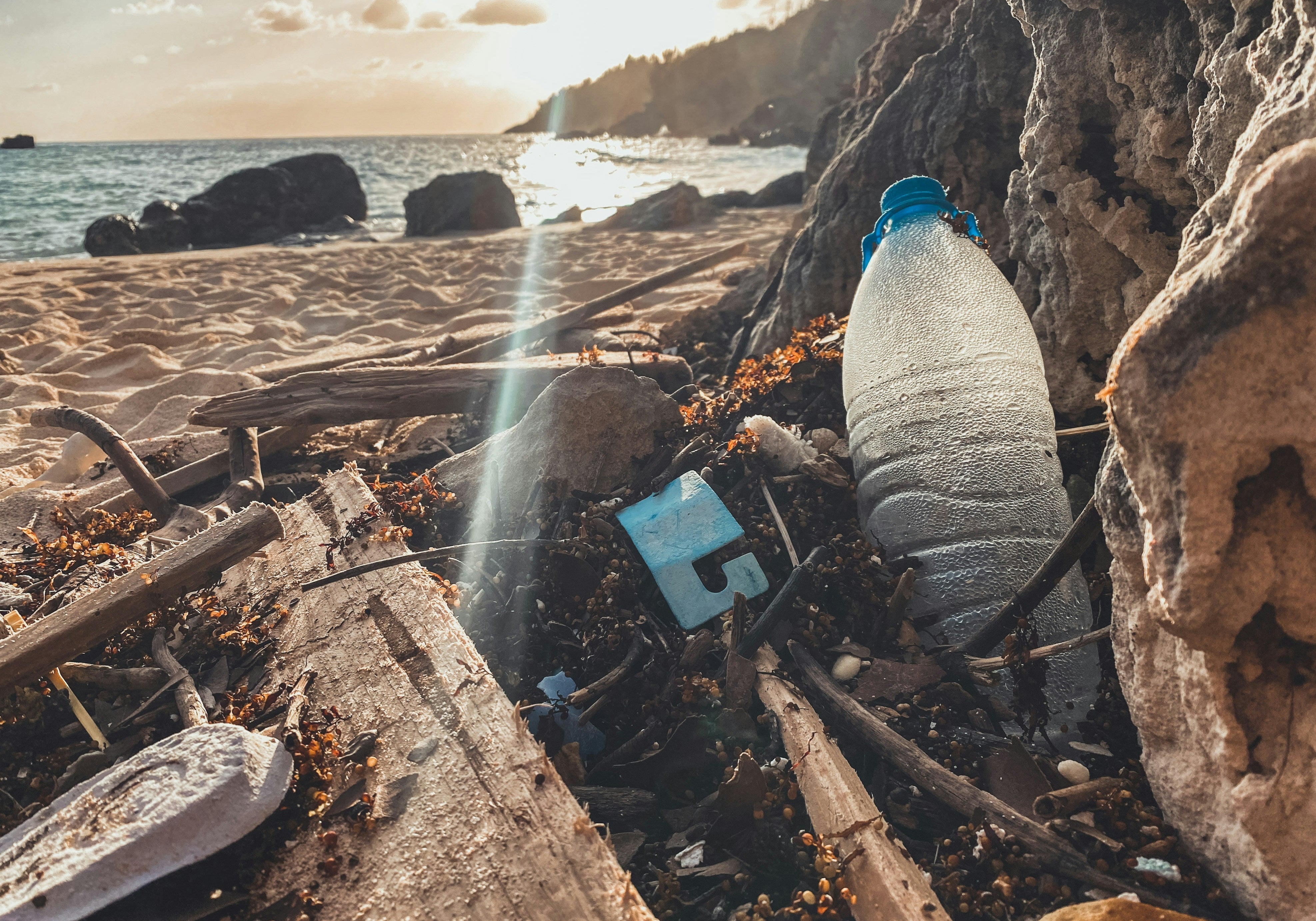 CaliWoods Plastic Free July low tox tips