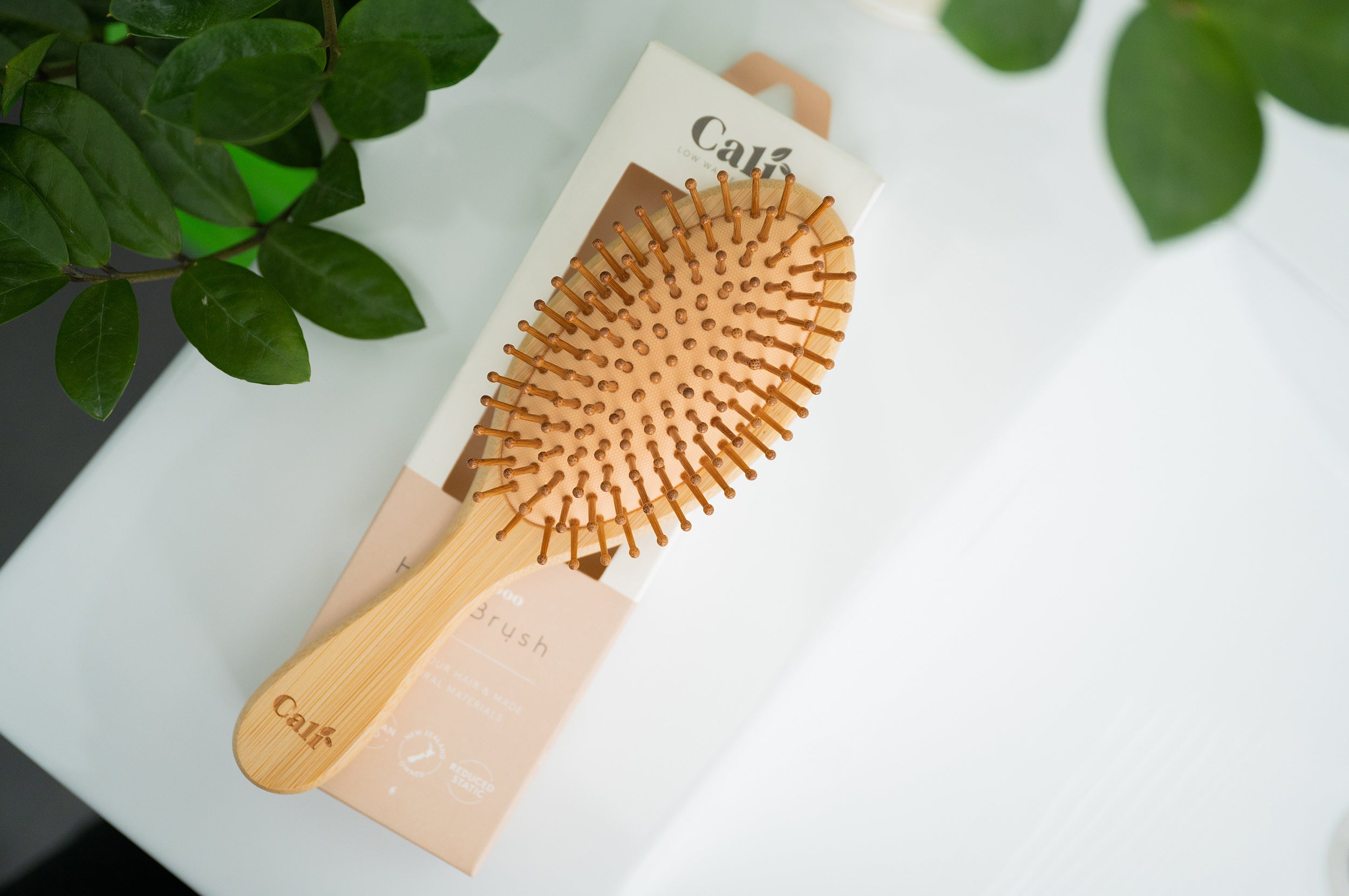 Bamboo Hairbrush