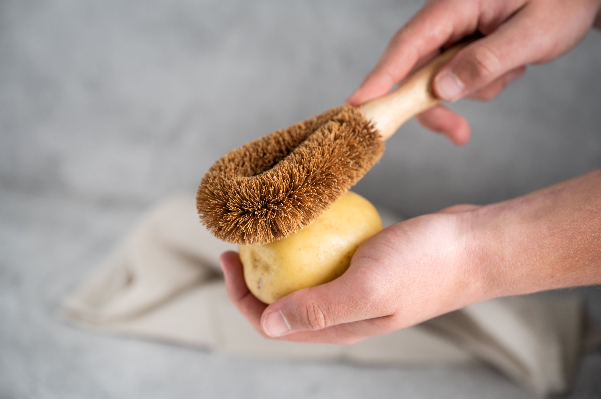 Veggie Brush Kitchen Essential