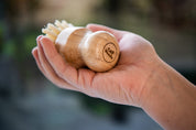 Pot Brush